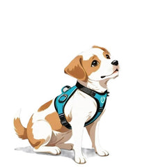 Collection image for: Harnesses and Training