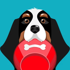 Collection image for: Bowls and Travel