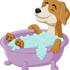 Collection image for: Wellness and Cleanup