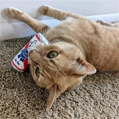 Cats Blue Ribbon Plush Cat Toy