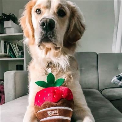 Chocolate Strawberry Dog Toy Large
