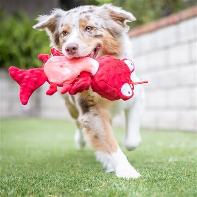 Slappies® Claude Lobster Dog Toy Small