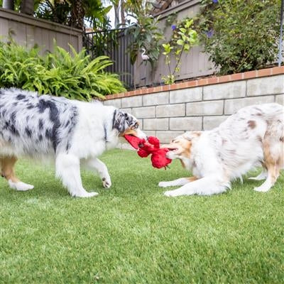 Slappies® Claude Lobster Dog Toy Small