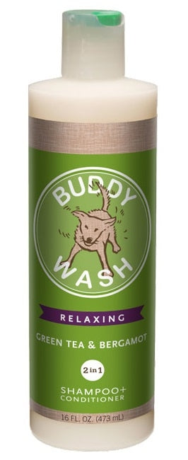 Buddy Biscuits Buddy Wash Pet Shampoo Plus Conditioner - Green Tea & Bergamot 16 fl. oz.