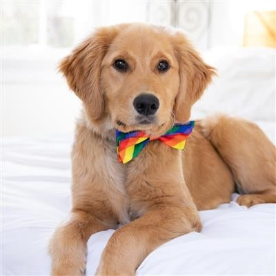 Equality Bow Tie by Huxley & Kent Large