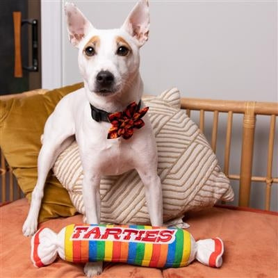 Farties Dog Toy-Small