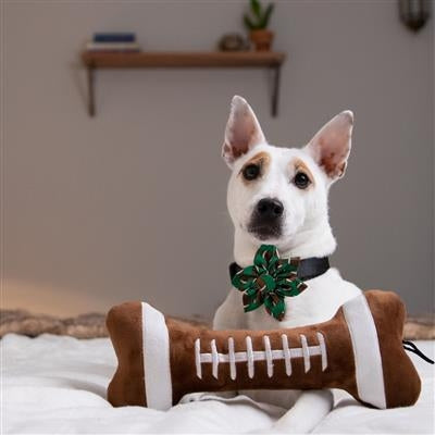 Football Bone Dog Toy-Large
