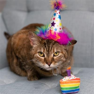 Funfetti Cake Plush Cat Toy
