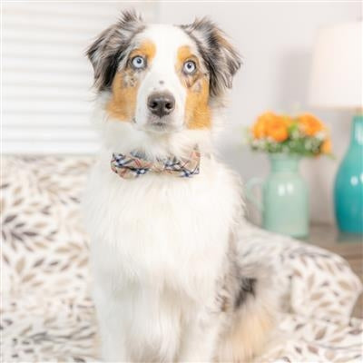 High Street Plaid Bow Tie Small