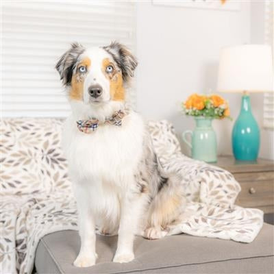 High Street Plaid Bow Tie Small