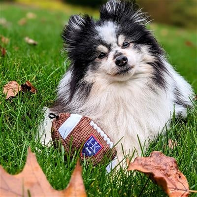 HK Football Dog Toy Small