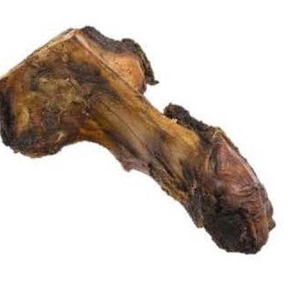 Jones L Bone
