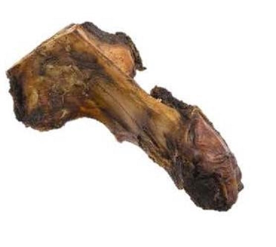 Jones L Bone