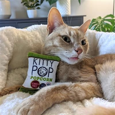 Kitty Pop Plush Cat Toy