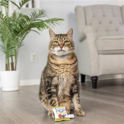 Kitty Pop Plush Cat Toy