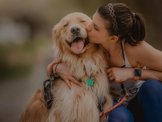 <h2>Retail-Ready Packaging</h2>