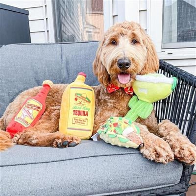 Margarita Loco Dog Toy - Large