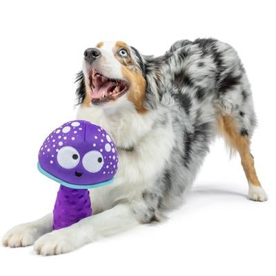 Fetchies® Mellow Mushroom Dog Toy Large
