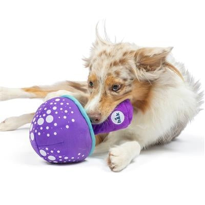 Fetchies® Mellow Mushroom Dog Toy Small