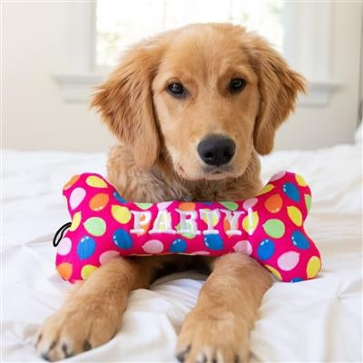 Party Time Bone Dog Toy Blue - Small