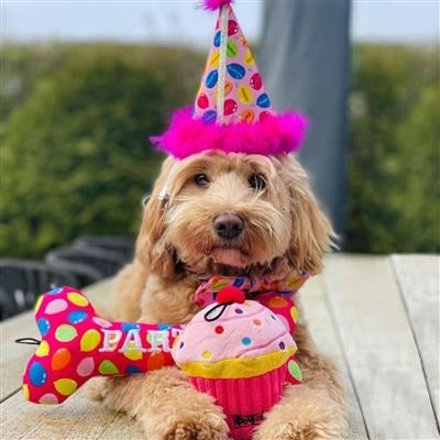 Party Time Bone Dog Toy Blue - Small