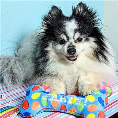Party Time Bone Dog Toy Pink - Large