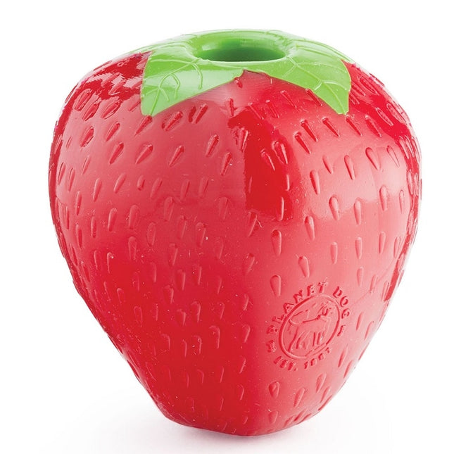 Planet Dog Strawberry