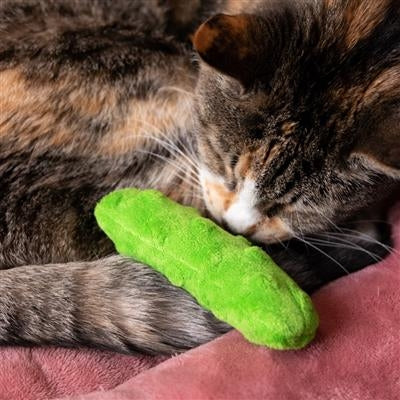 Pickle Plush Cat Toy