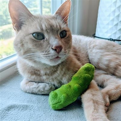 Pickle Plush Cat Toy