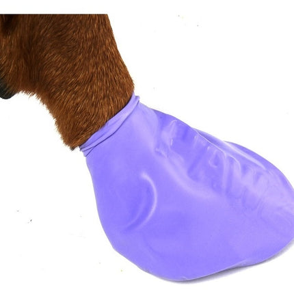 Pawz Dog Boots in Color