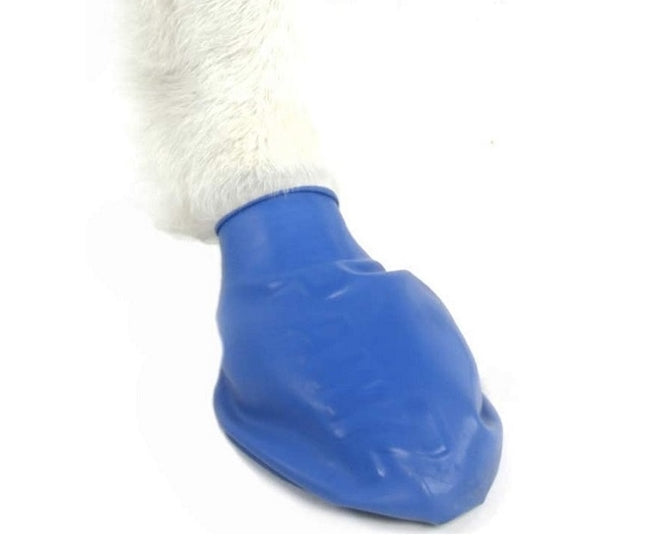 Pawz Dog Boots in Color