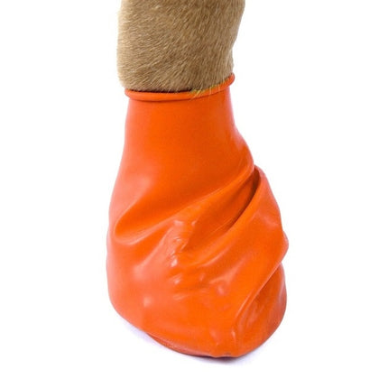 Pawz Dog Boots in Color