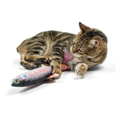 Rainbow Trout Kicker Cat Toy