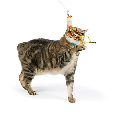 Snacky Teasers 3pk Refill Cat Toy