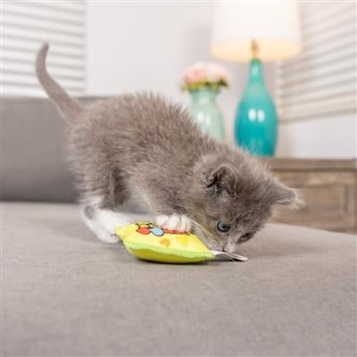 Sour Scratch Kats Plush Cat Toy