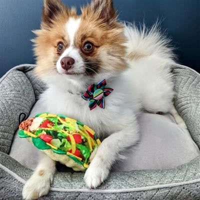Taco Tuesday Dog Toy-Small