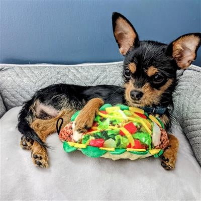 Taco Tuesday Dog Toy-Small