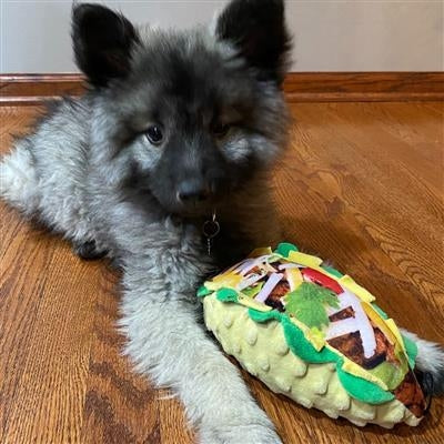 Taco Tuesday Dog Toy-Large
