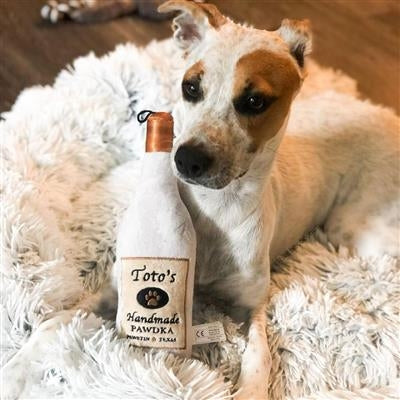 Toto's Pawdka Dog Toy - Small