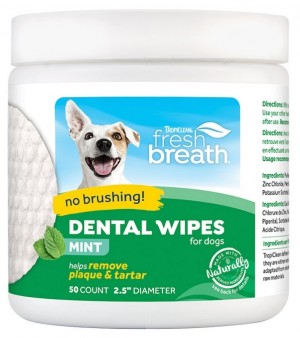 Fresh Breath No Brushing Clean Teeth Dental & Oral Care Dental Wipes