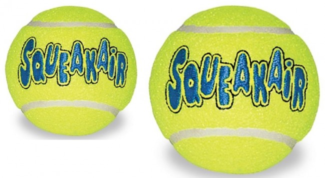 Kong airdog squeakair 2025 ball