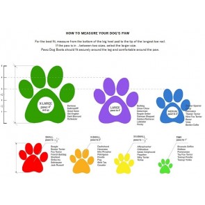 Sizing Chart