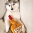 Barker's Mark Dog Toy 4