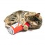 Cats Belly Rubbin Kicker 2