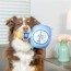 Fido Loco 4