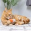 Go Fish Plush Cat Toy 2