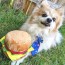 Hamburger Dog Toy 2