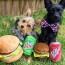 Hamburger Dog Toy 3