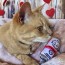 Kitty Klaw Clawberry Plush 2