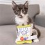 Kitty Pop Plush 3